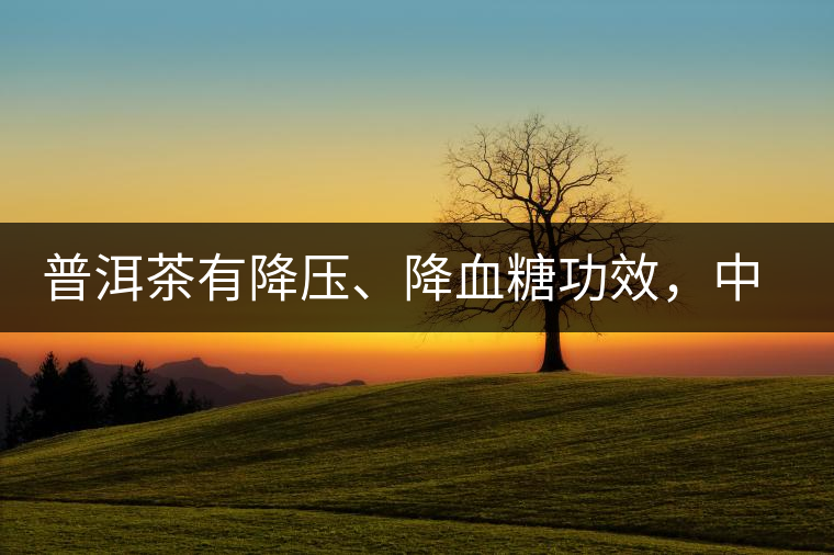 普洱茶有降壓、降血糖功效，中老年人不再懼怕糖尿病