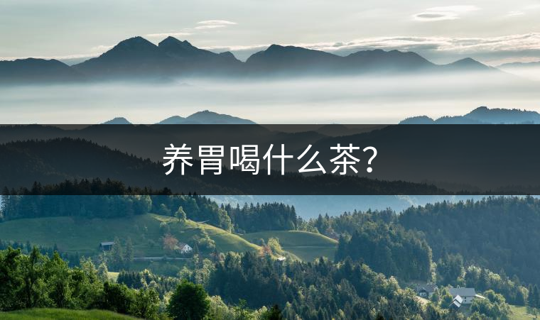 養(yǎng)胃喝什么茶？