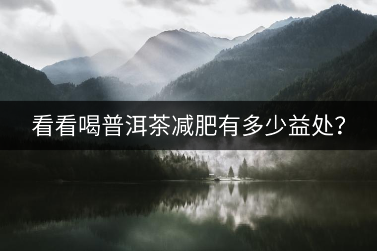 看看喝普洱茶減肥有多少益處？