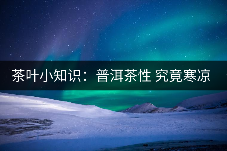 茶葉小知識：普洱茶性 究竟寒涼溫熱？