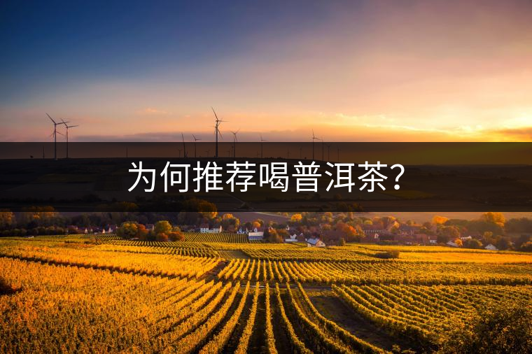 為何推薦喝普洱茶？