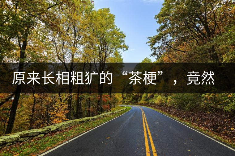 原來(lái)長(zhǎng)相粗獷的“茶?！保谷贿€有這么多的作用