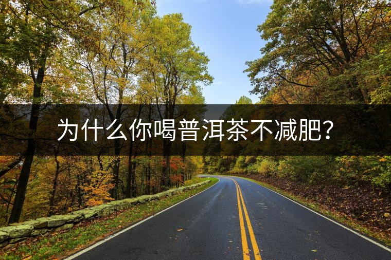 為什么你喝普洱茶不減肥？