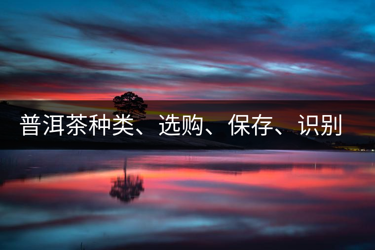 普洱茶種類、選購、保存、識別、沖泡