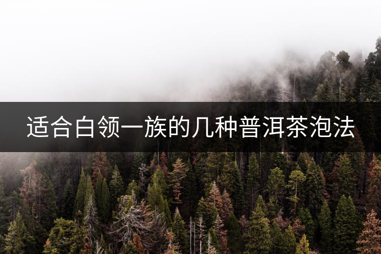 適合白領(lǐng)一族的幾種普洱茶泡法 適合白領(lǐng)一族的幾種普洱茶泡法