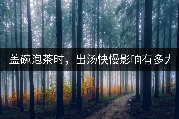 蓋碗泡茶時，出湯快慢影響有多大？