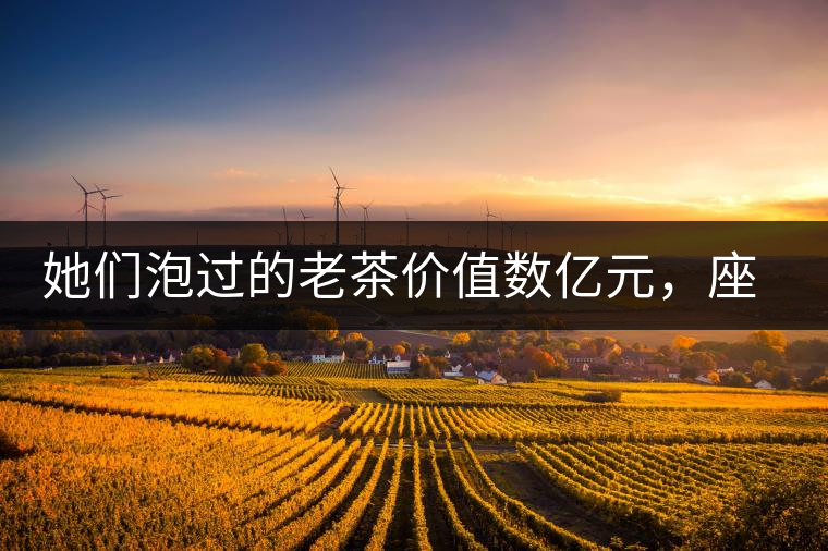 她們泡過(guò)的老茶價(jià)值數(shù)億元，座上賓是余秋雨、李云迪……