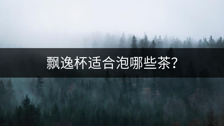 飄逸杯適合泡哪些茶？