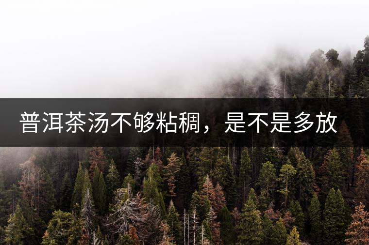 普洱茶湯不夠粘稠，是不是多放些茶葉就好了嗎？