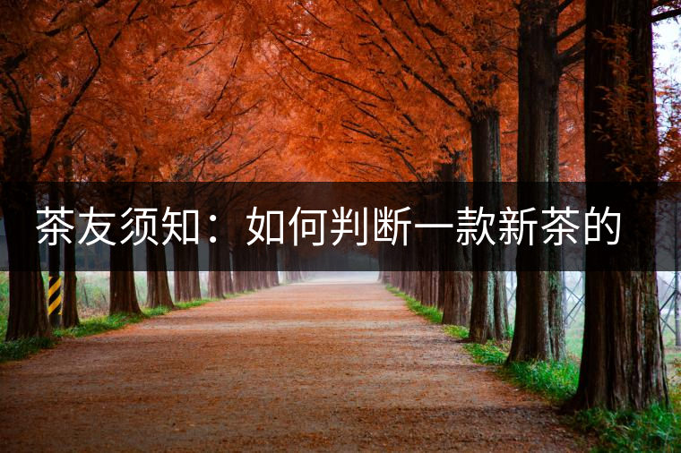 茶友須知：如何判斷一款新茶的陳化潛力？