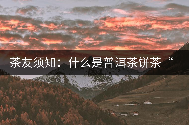 茶友須知：什么是普洱茶餅茶“八病”？如何鑒別？