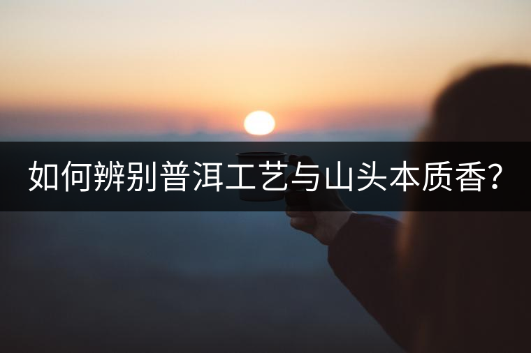 如何辨別普洱工藝與山頭本質(zhì)香？