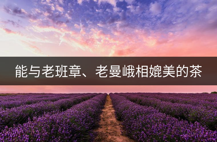 能與老班章、老曼峨相媲美的茶