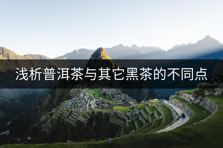 淺析普洱茶與其它黑茶的不同點