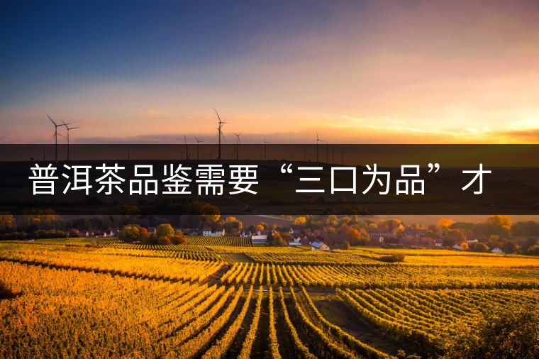 普洱茶品鑒需要“三口為品”才真實(shí)，那從哪里入手品鑒呢？