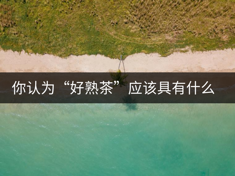 你認為“好熟茶”應(yīng)該具有什么樣的標準？
