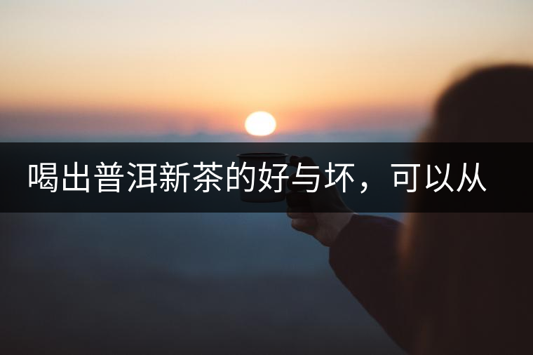 喝出普洱新茶的好與壞，可以從這五點(diǎn)出發(fā)
