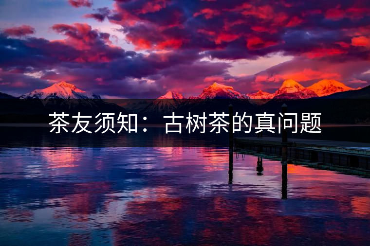 茶友須知：古樹茶的真問題