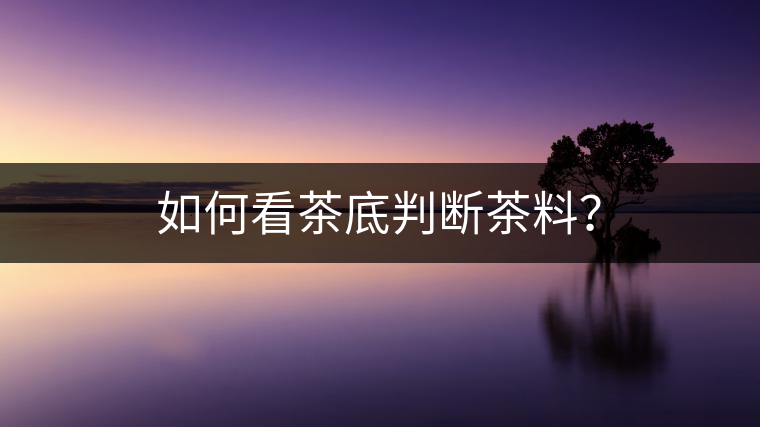 如何看茶底判斷茶料？