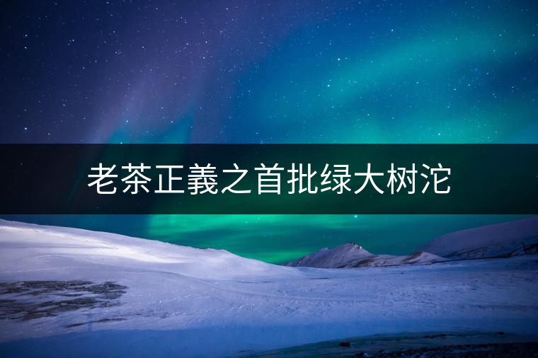 老茶正義之首批綠大樹(shù)沱