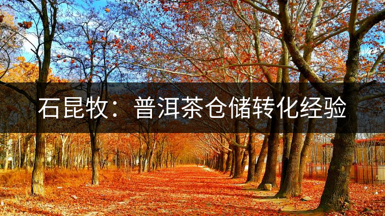 石昆牧:普洱茶倉(cāng)儲(chǔ)轉(zhuǎn)化經(jīng)驗(yàn) 石昆牧:普洱茶倉(cāng)儲(chǔ)轉(zhuǎn)化經(jīng)驗(yàn)