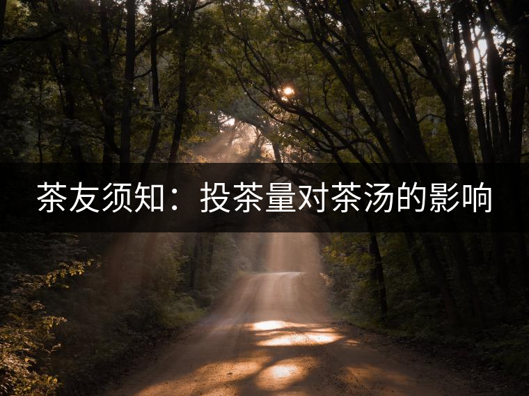 茶友須知：投茶量對(duì)茶湯的影響