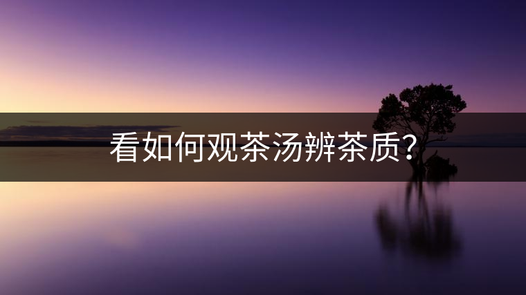看如何觀茶湯辨茶質(zhì)？