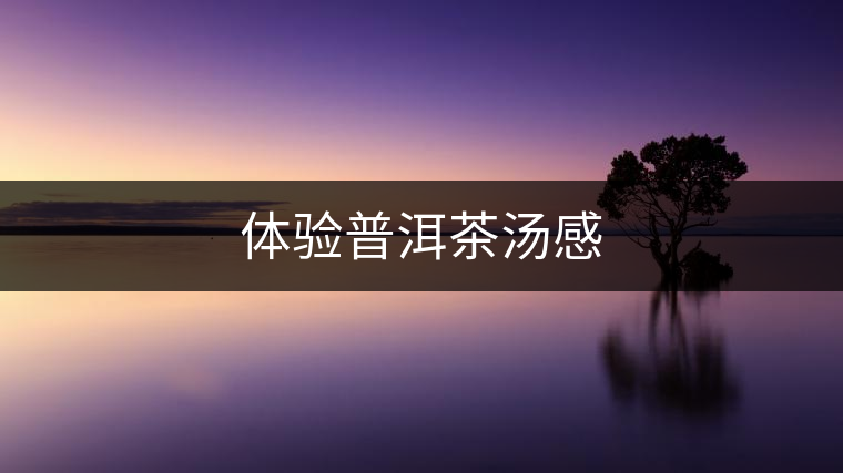 體驗(yàn)普洱茶湯感 體驗(yàn)普洱茶湯感