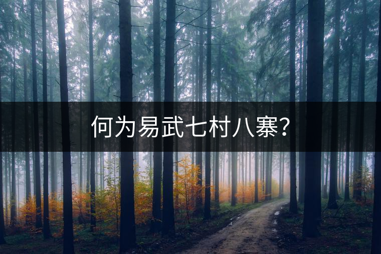 何為易武七村八寨？