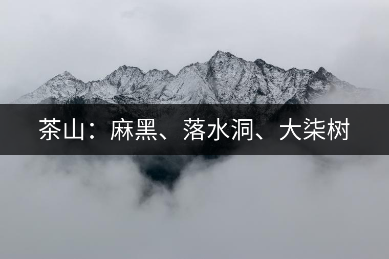 茶山：麻黑、落水洞、大柒樹(shù)