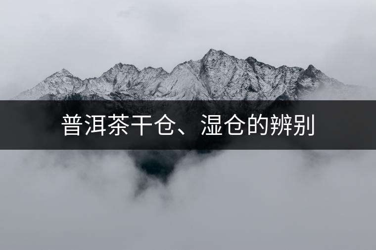普洱茶干倉、濕倉的辨別