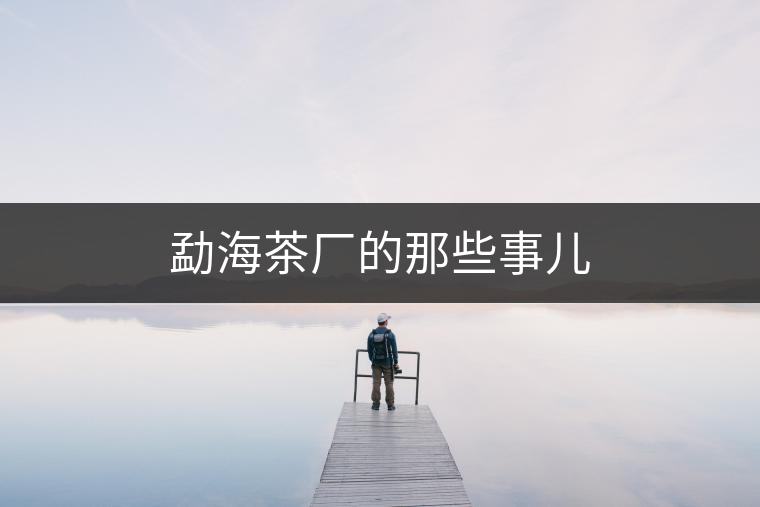 勐海茶廠的那些事兒