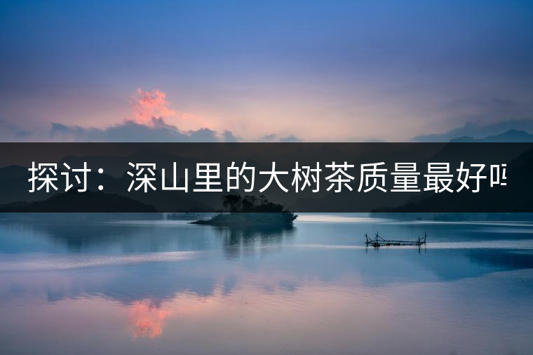 探討：深山里的大樹(shù)茶質(zhì)量最好嗎？