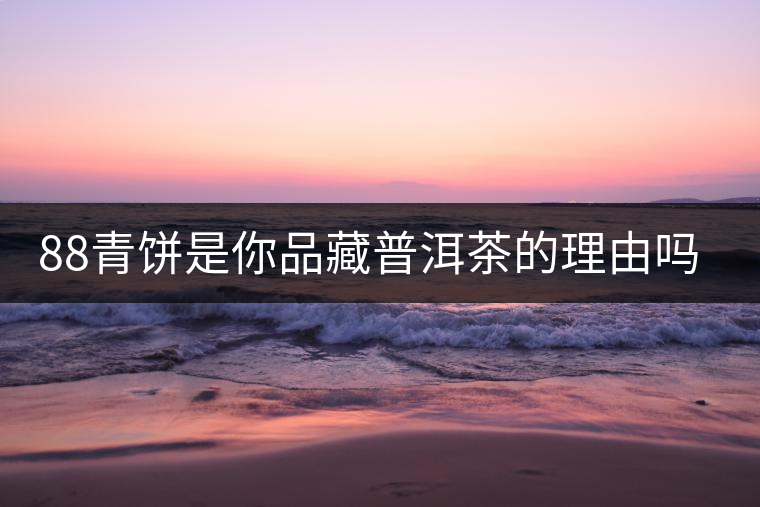88青餅是你品藏普洱茶的理由嗎？