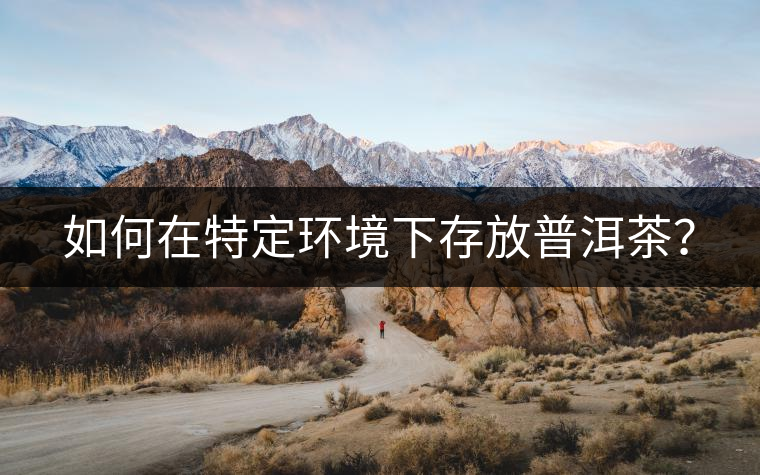 如何在特定環(huán)境下存放普洱茶？