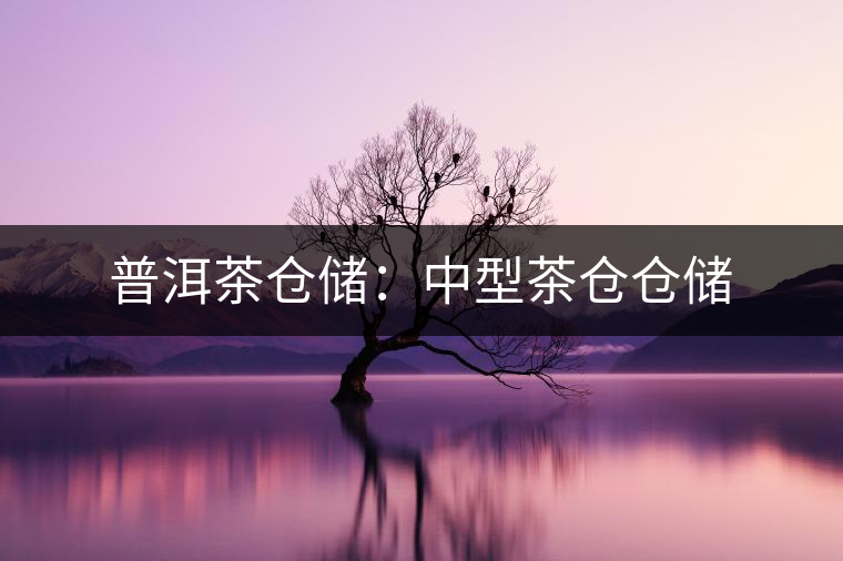 普洱茶倉(cāng)儲(chǔ)：中型茶倉(cāng)倉(cāng)儲(chǔ)
