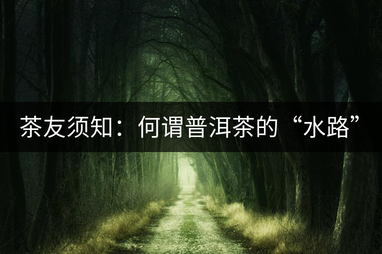 茶友須知：何謂普洱茶的“水路”？