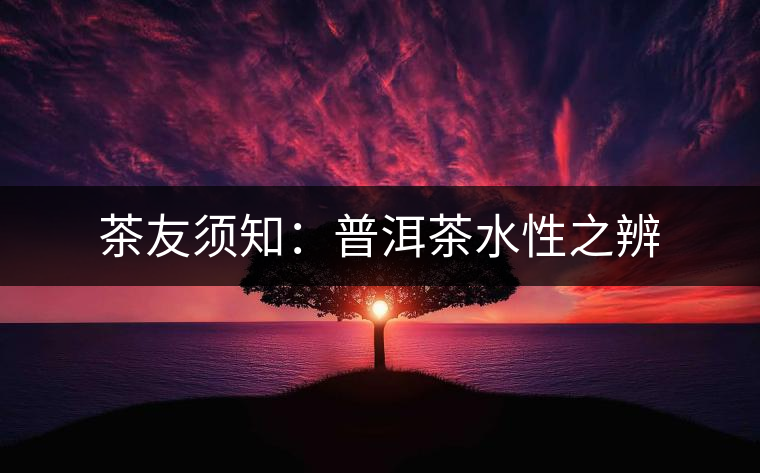 茶友須知：普洱茶水性之辨