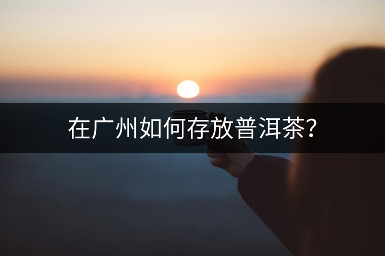 在廣州如何存放普洱茶？