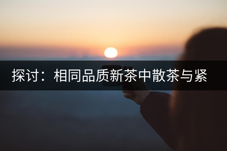 探討：相同品質(zhì)新茶中散茶與緊壓茶哪個(gè)好？