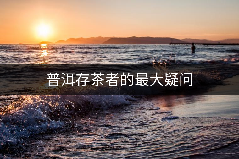 普洱存茶者的最大疑問