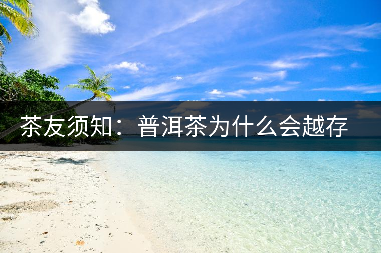 茶友須知：普洱茶為什么會越存越香？