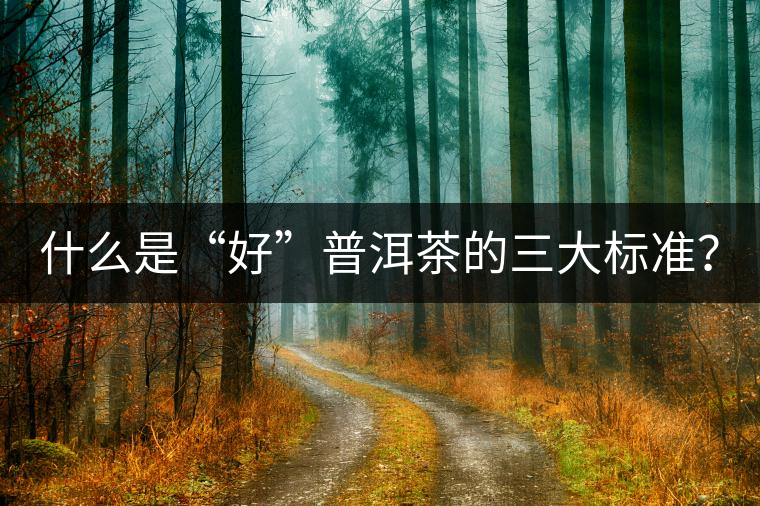 什么是“好”普洱茶的三大標(biāo)準(zhǔn)？
