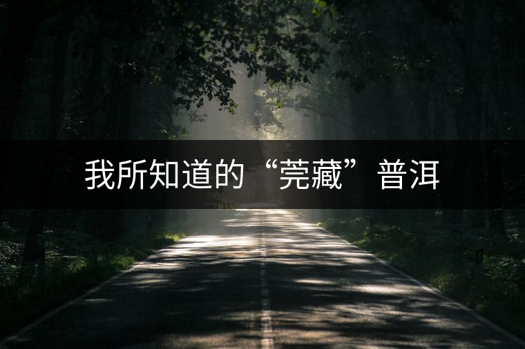 我所知道的“莞藏”普洱 我所知道的“莞藏”普洱