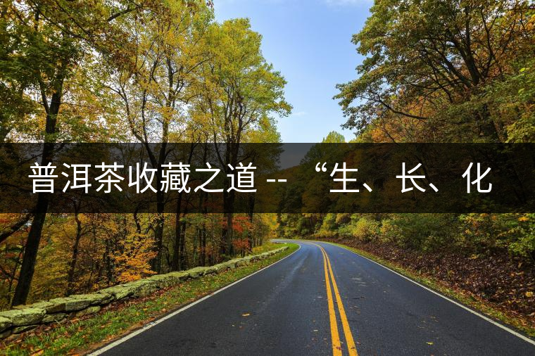 普洱茶收藏之道 -- “生、長、化、收、藏”