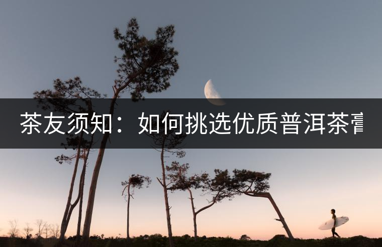 茶友須知：如何挑選優(yōu)質(zhì)普洱茶膏？