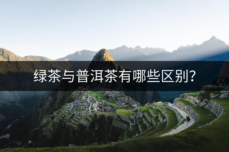 綠茶與普洱茶有哪些區(qū)別？