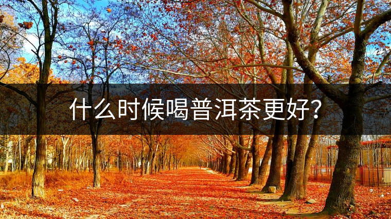 什么時候喝普洱茶更好？