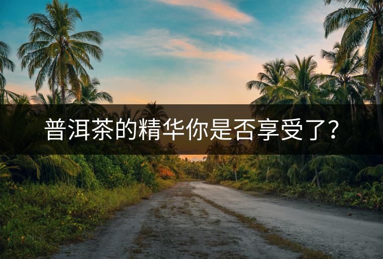 普洱茶的精華你是否享受了？