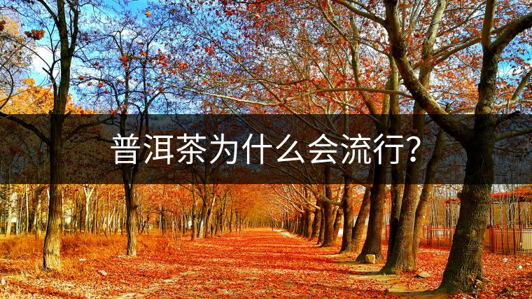 普洱茶為什么會(huì)流行？